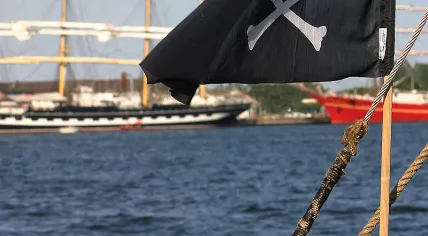 800px-Jolly_Roger_flag_tall_ships_race_Aalborg_2004