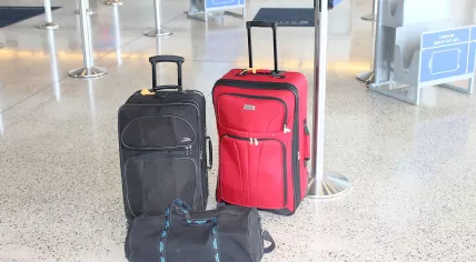 Luggage_awaiting_loading_at_airport_IMG_3140