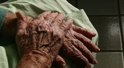 Old_hands