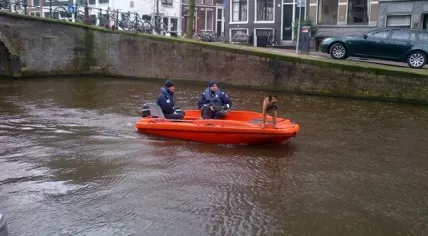 Police dog search Cole missing