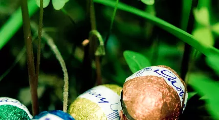 800px-Easter_Egg_Hunt_(5623253840)