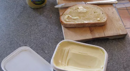 800px-Breakfast_-_bread,_margarine_and_honey