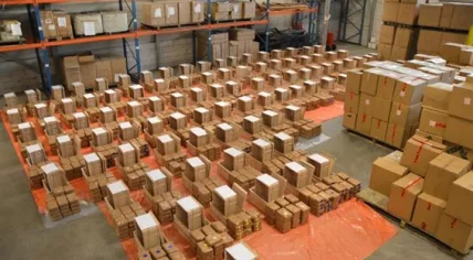 Rotterdam cocaine find crates 1