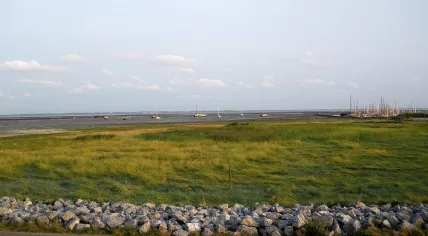1280px-Schiermonnikoog_marina_1
