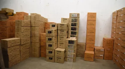 Illegal fireworks found in a disused German bunker