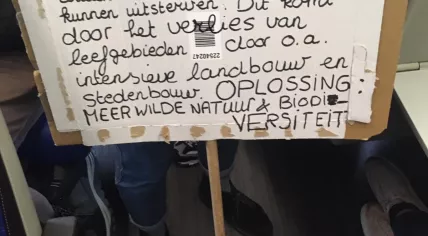 Climate strike on Koekamp in The Hague, 27 September 2019