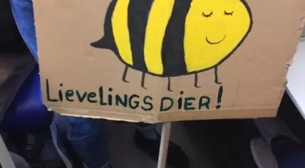 Climate strike on Koekamp in The Hague, 27 September 2019