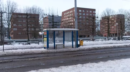 No public transport due to snow
