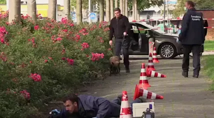Police forensics at Derk Wiersum shooting scene