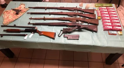 Firearms and ammunition seized from a Limburg recycling company suspected of money laundering, 11 July 2020