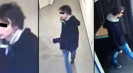 Thijs H. suspected in fatal stabbings in The Hague and Heerlen