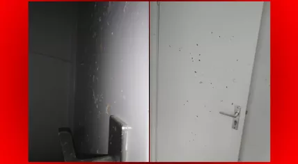 Damage caused by debris from a possible explosion in Eindhoven