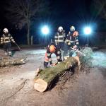 Firefighters in Geffen, Brabant deal with a tree blown over by a storm, 23 Feb 2017