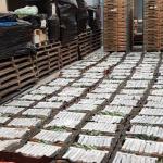 Over 1,000 kilos of cocaine found hidden among fruit in a refrigerated truck on Industrieweg in Oudenbosch, 14 Nov 2017