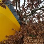 NS train hits tree in Netherlands