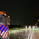 Firefighters working to clear fallen trees and branches from the N522 in Noord-Holland, 6 June 2019
