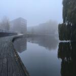 A foggy morning in Amsterdam, 25 November 2019