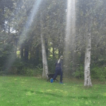 Police search Zuiderpark in Rotterdam where a 20-year-old woman was raped on 7 September 2020