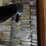 Police in Rotterdam found 600 kilos of cocaine