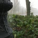 A foggy and cold day in Amsterdam's Oosterpark, 9 December 2020