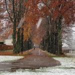 First snowfall of winter 2022 in Deventer