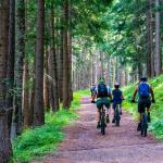 Cycling through the forrest