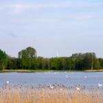 The Veluwemeer in 2012