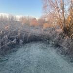 A frosty area in Amsterdam-Oost. 13 December 2022