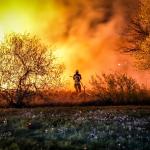 Wildfire in the Paaskamp nature reserve near Assen, 5 May 2023