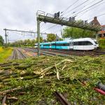 Branches and debris cleared from the railroad tracks after Storm Poly as the Arriva shuttle from Groningen to Veendam starts back up. 5 July 2023