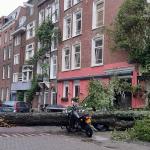 A tree knocked down during Storm Poly on Tweede Helmersstraat in Amsterdam. 5 July 2023