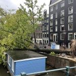A tree blown over during Storm Poly landed on a houseboat in Amsterdam. 5 July 2023