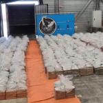 8,064 kilos of cocaine hidden in banana pallets found at the port of Rotterdam, 10 August 2023.