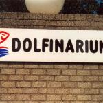 Dolfinarium in Hardewijk