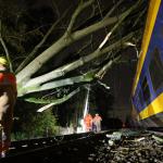 ProRail working on a tree that had fallen onto the overhead lines during Storm Ciaran, 2 November 2023