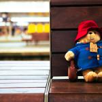 The NS hopes to reunite this lost Paddington Bear with its owner before Christmas 2023