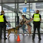 Authorities use sniffer dogs to check passengers on their way out of Schiphol Airport. 8 May 2023