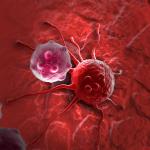 Cancer cell