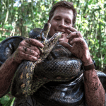 Freek Vonk with the Eunectes akayima, or northern green anaconda, a new species discovered in the northern Amazon region