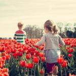 Two children playing in a field of red tulips on King's Day in the Netherlands in 2015