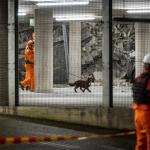 The emergency services used sniffer dogs to search the rubble of a partially collapsed parking garage at the St. Antonius Hospital in Nieuwegein, 26 May 2024