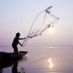 A fisherman catching fish with a cast net. 