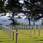 Rows of white crosses in the Normandy American Cemetery and Memorial