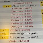 Every flight at Schiphol Airport was delayed or canceled by a Crowdstrike bug that crashed Windows computers worldwide, 19 July 2024