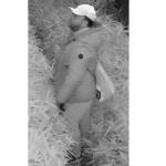 Image of man suspected of starting fire at Rotterdam alderman Faouzi Achbar's home on July 6.