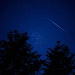 Tree silhouettes and a shooting star