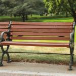 Bench in a city park