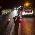 Police investigating three dead wolves on the N310 near De Hoge Veluwe National Park near Otterlo, 26 September 2024