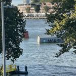 A container ship crashed into the Willems Bridge in Rotterdam and lost five containers in the Nieuwe Maas, 11 September 2024