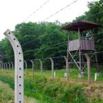 Barbed wire fences and watchtowers from inside Camp Vught.